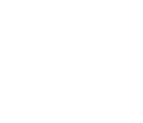 Goods lift with passenger transport